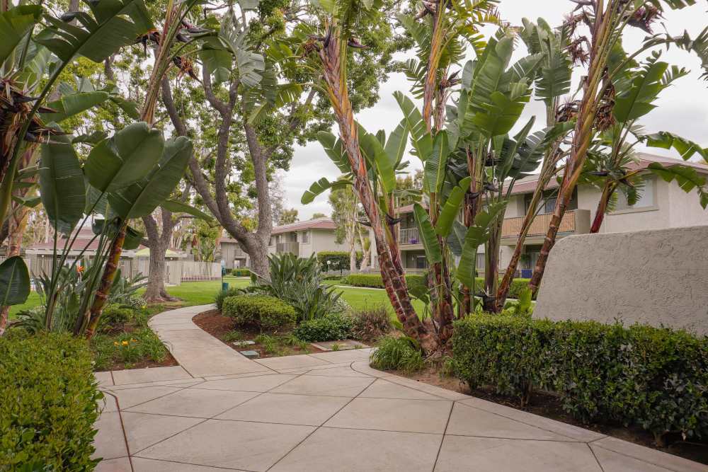 Nature walkway at Strada Apartments in Orange, California