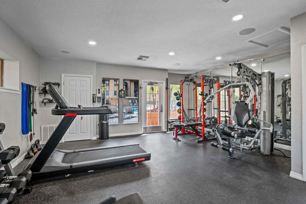 Community gym with weight equipment at Waterstone At Carrollwood in Tampa, Florida