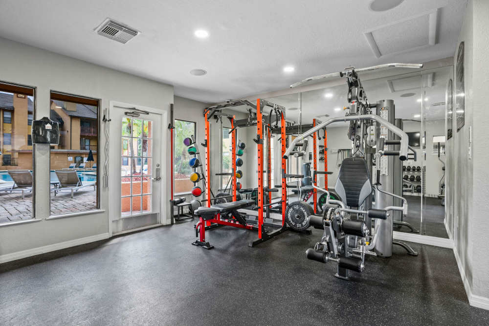 Community fitness center with treadmills and weight machines at Waterstone At Carrollwood in Tampa, Florida