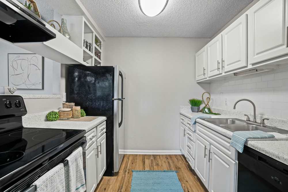 Model kitchen area at Waterstone At Carrollwood in Tampa, Florida