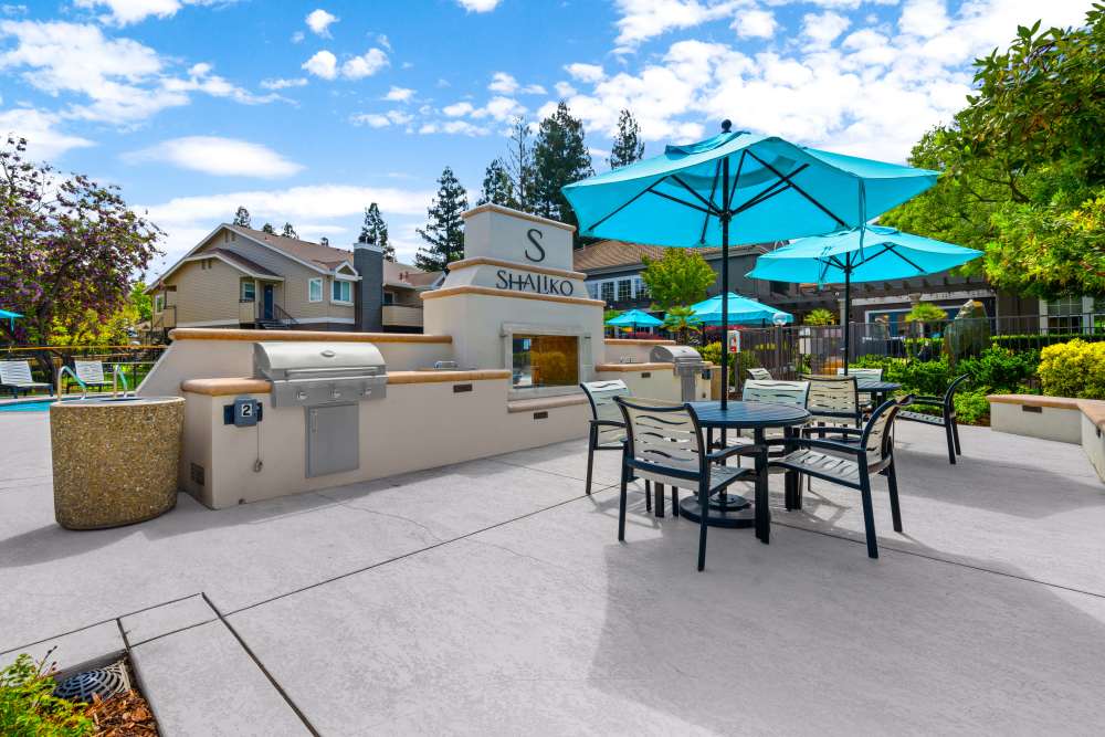 Fireplace at Shaliko in Rocklin