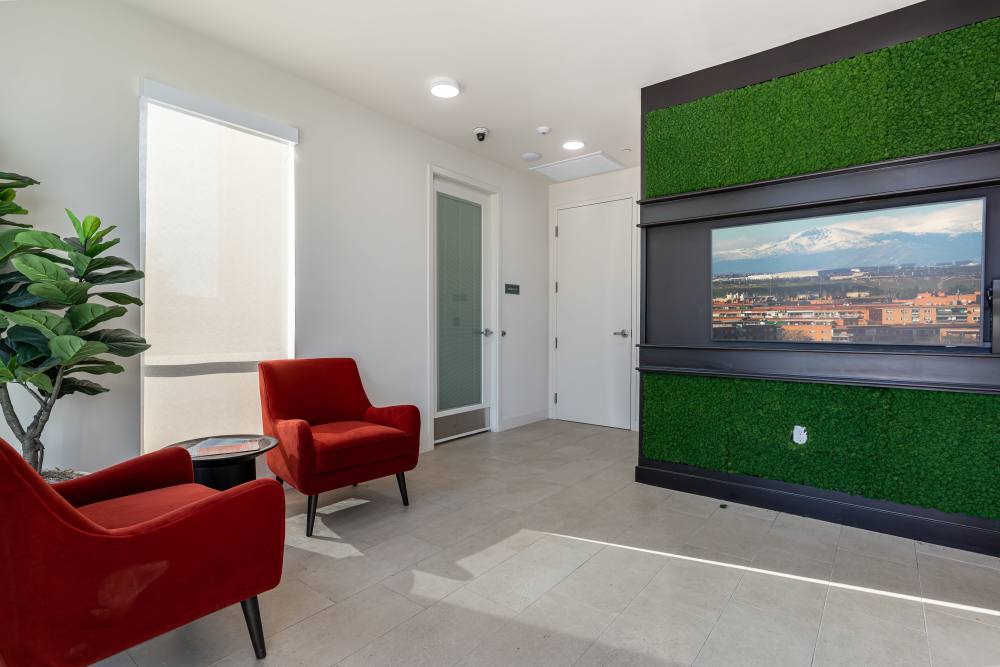 A living room featuring a television and a vibrant green wall at Monamos Terrace Apartments in Murrieta, California