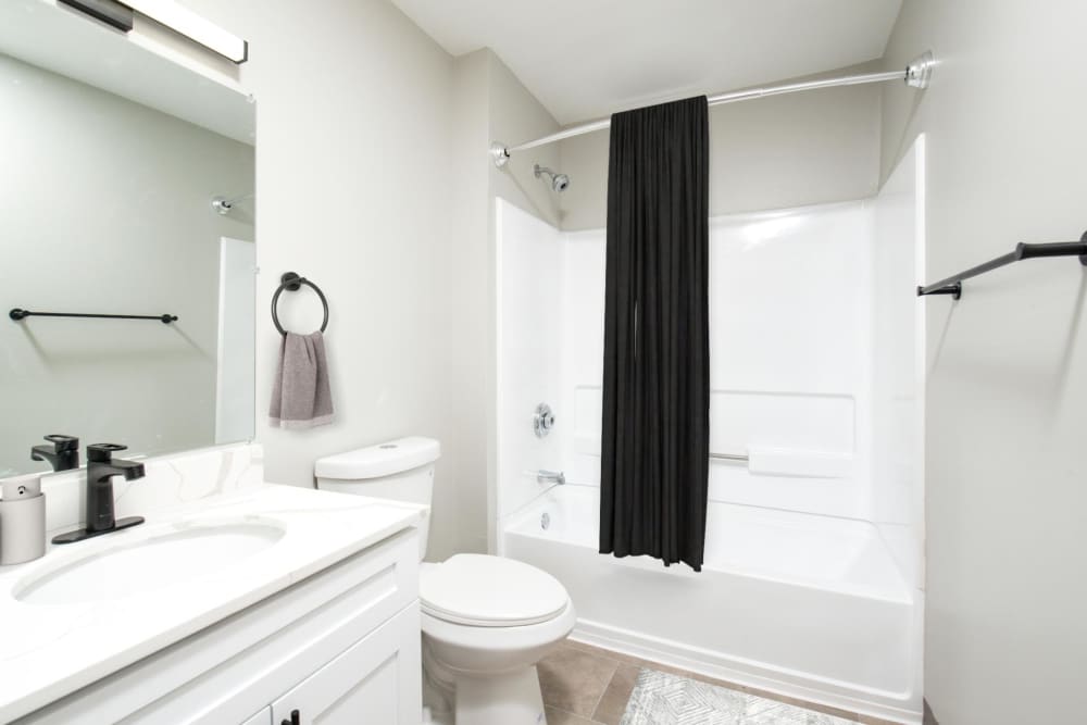 bathroom at Iron Ridge and Stonegate Apartments in Elkton, Maryland
