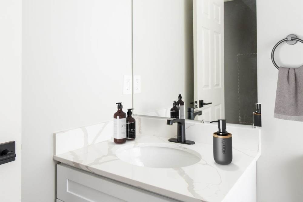 bathroom at Iron Ridge and Stonegate Apartments in Elkton, Maryland