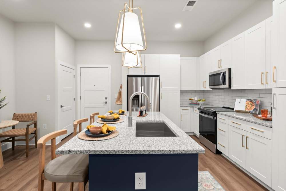 Spacious home at EVOQ East Cobb in Marietta, Georgia