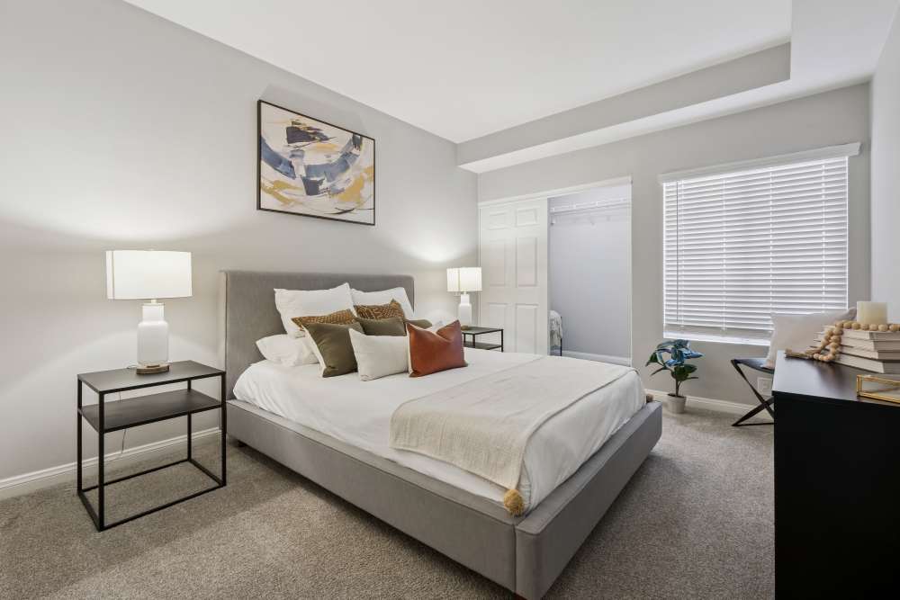 Spacious bedroom with plush carpeting at Paloma Summit Condominium Rentals in Foothill Ranch, California