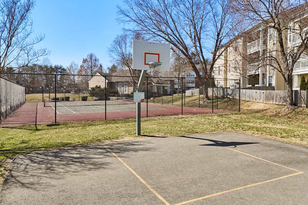 Basketball court at Malvern Lakes Apartments in Fredericksburg, Virginia