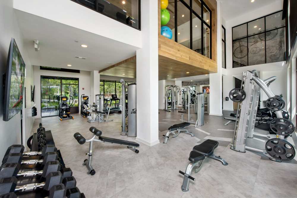 Preserve at Town Center Fitness Center Olympus Property REIT, LLC in Fort Worth, Texas