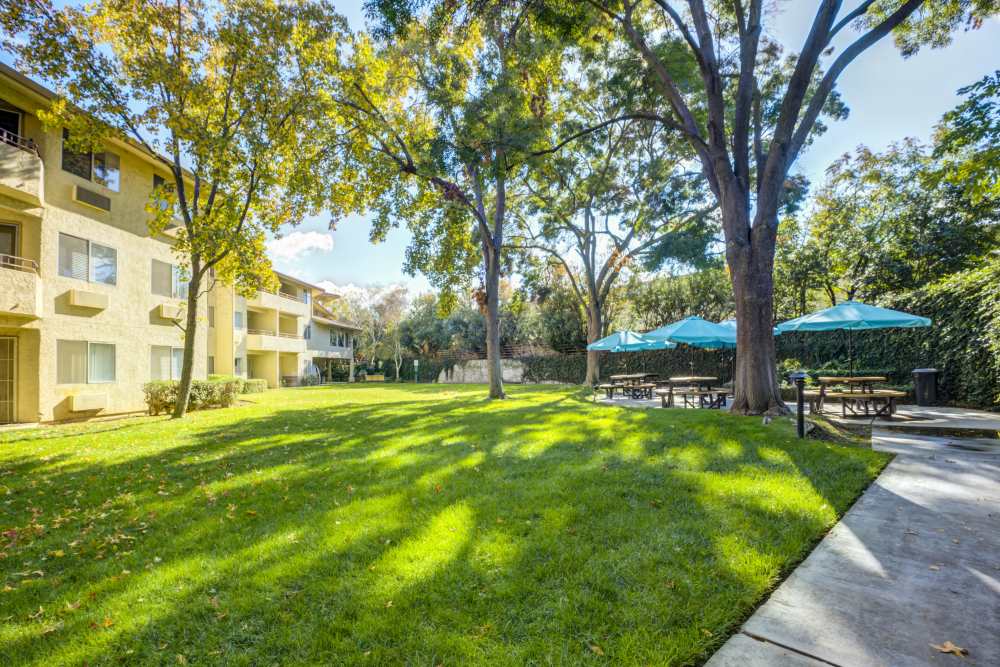 Courtyard at Truewood by Merrill, Fig Garden in Fresno, California