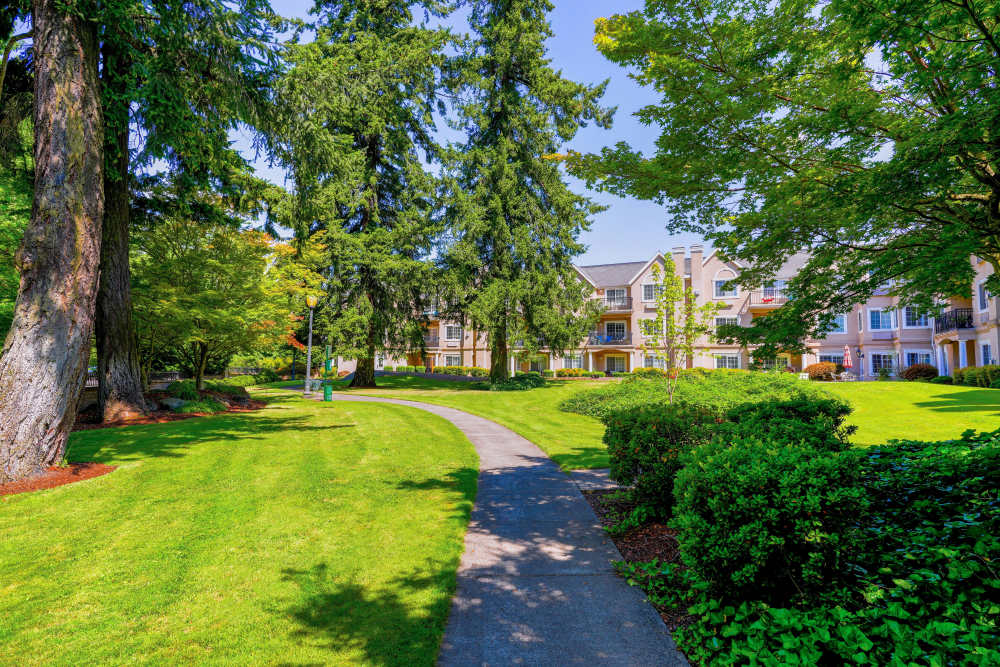 Walking path in the courtyard at Truewood by Merrill, Vancouver in Vancouver, Washington