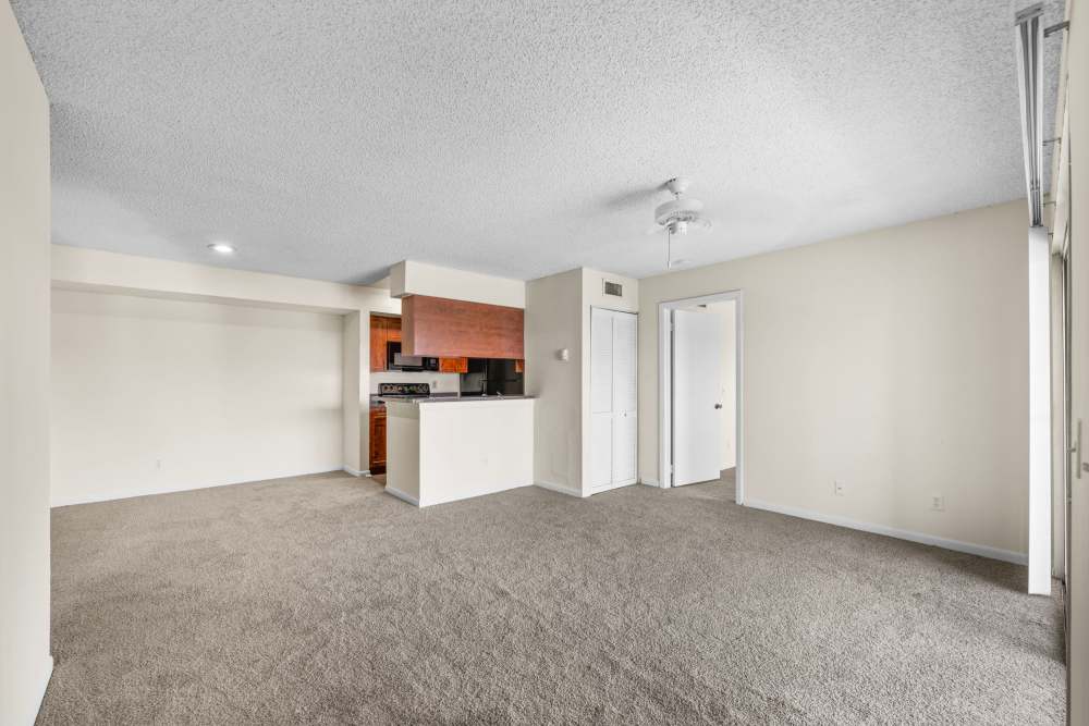 Living room with plush carpeting at Clipper Cove Apartments in Boynton Beach, Florida