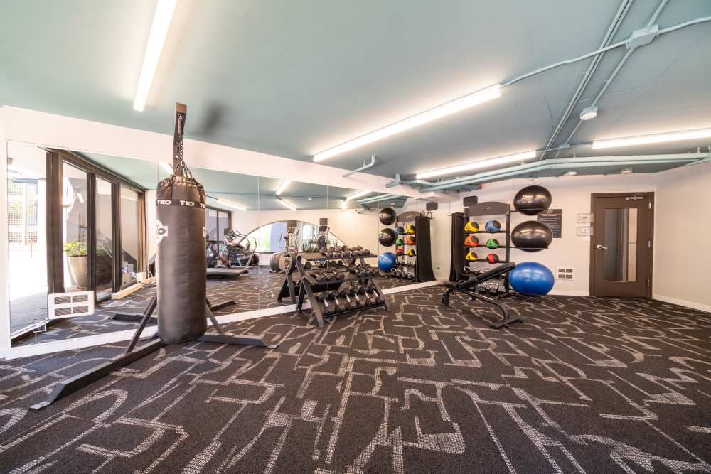 Contemporary Fitness Center at Tower 801 in Seattle, Washington
