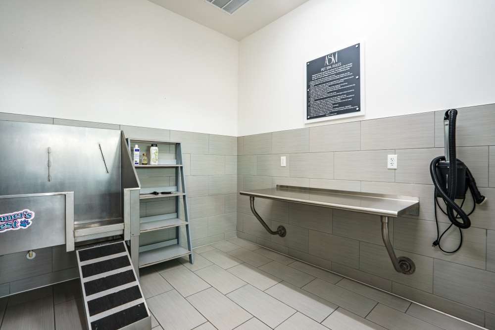 Clean Pet Spa at The Addison Skyway Marina in St. Petersburg, Florida