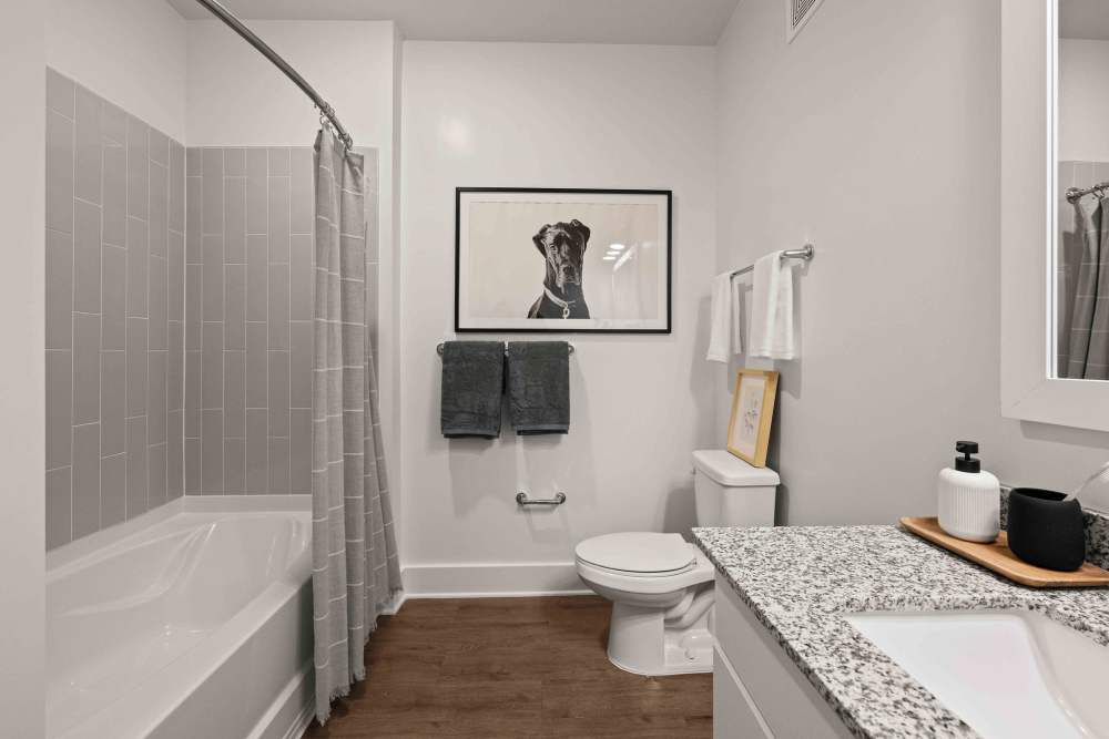 Guest bathroom with shower and tub combo at The Maggie Flats