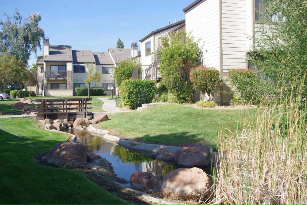 Lawn View of Twin Creek at Twin Creeks in Antioch, California