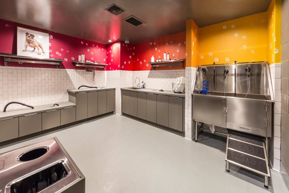Dog spa at The George Apartment Homes in Anaheim, California