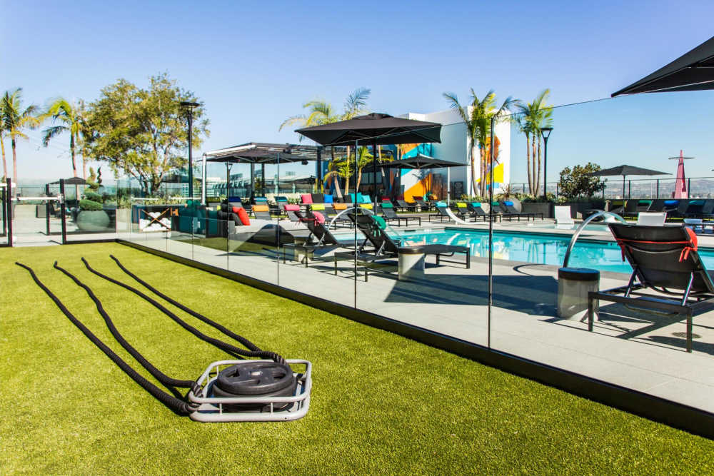Lawn by the pool at The George Apartment Homes in Anaheim, California