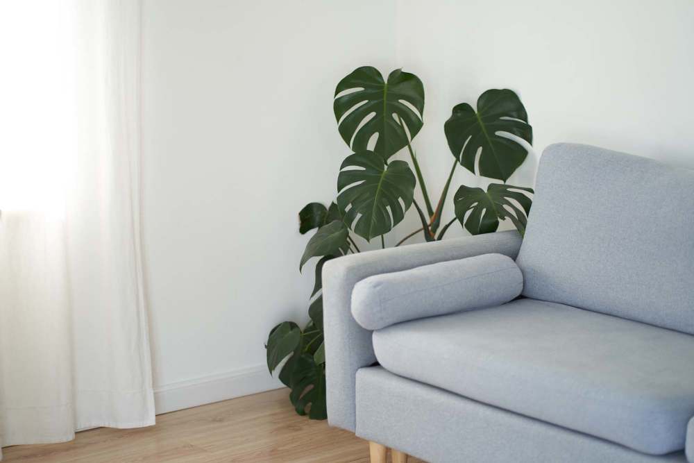 Living room with grey color sofa at Fox Hollow in Orlando, Florida