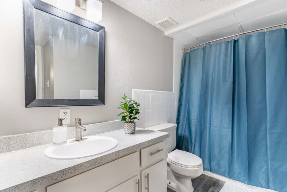 Bathroom at Arbor Park Apartments in Hurst, Texas