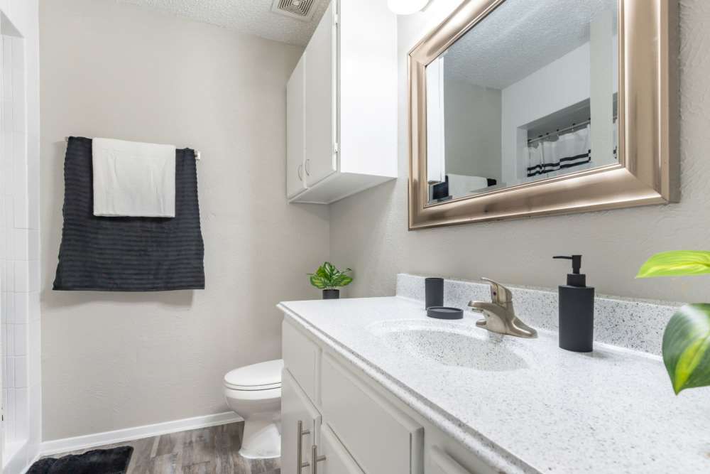 Bathroom mirror at Arbor Park Apartments in Hurst, Texas