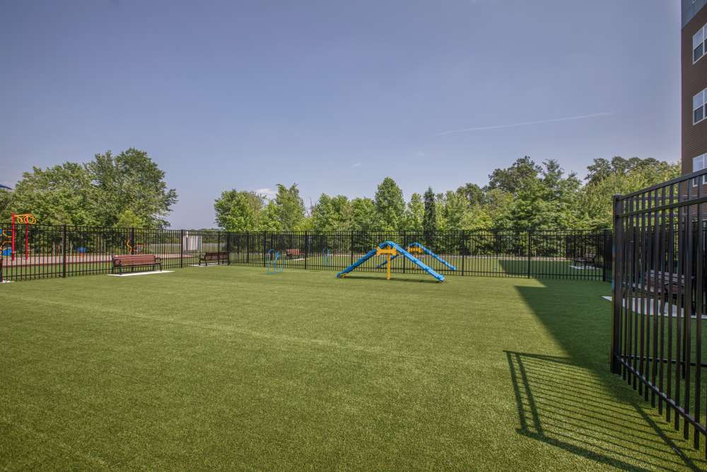 Fenced-In Dog Park at Five43 in Bel Air, Maryland