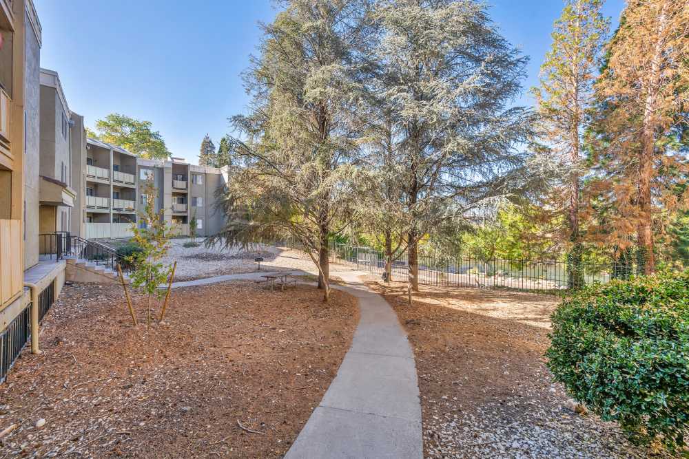 View of the community with greenery all around at Riverwood Apartments in Reno, Nevada