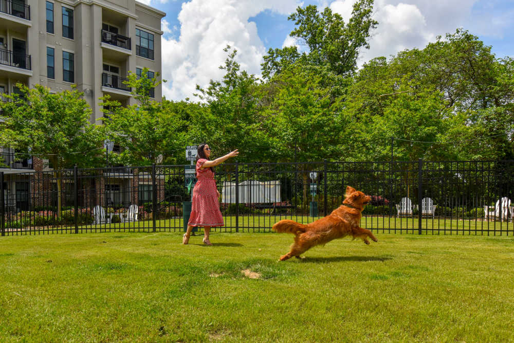 Plenty of green spaces on the grounds of The Mill at Westside in Atlanta, Georgia