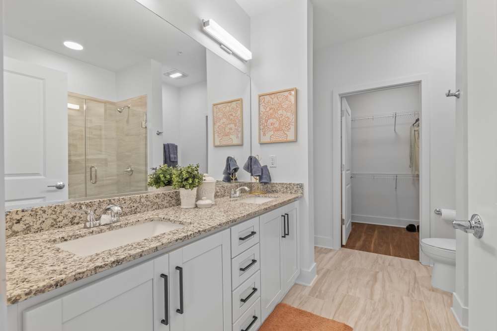 Modern bathroom with granite vanity and stylish decor at Flats at College Park in College Park, Maryland.