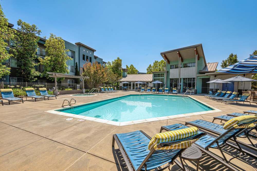 Beautiful swimming pool with lots of lounge chairs at Azure Apartment Homes in Petaluma, California
