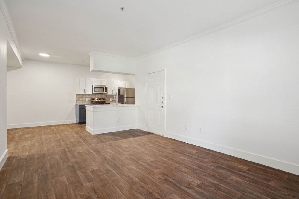 Spacious apartment with wood-style flooring at Mission Eagle Pointe in Allen,Texas