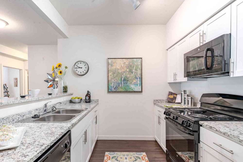 Kitchen of Ecco Apartments in Eugene, OR