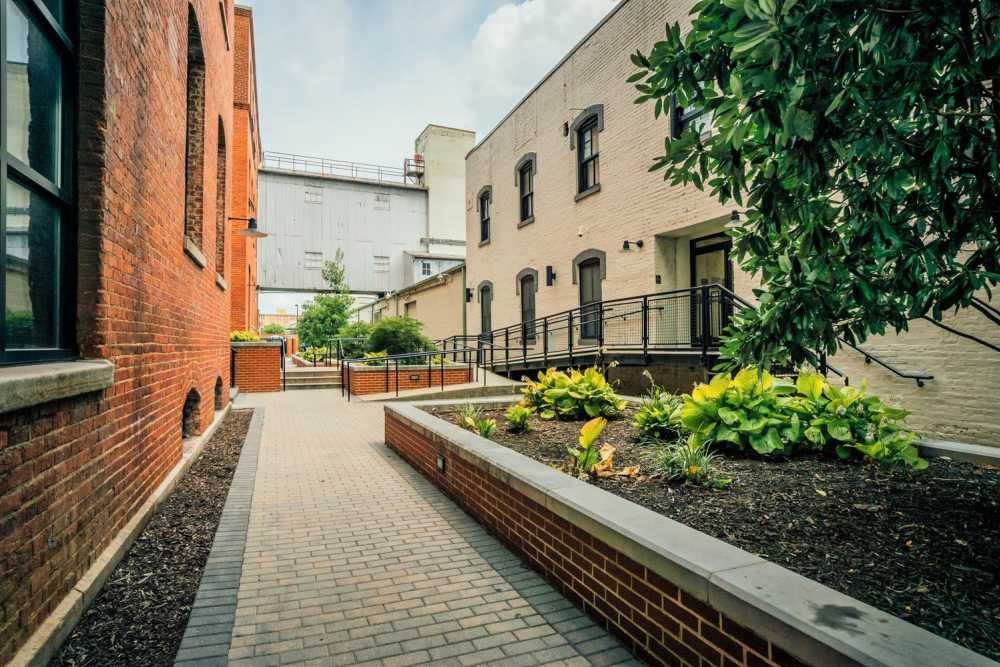 Backyard at Perry Street Lofts in Petersburg. VA