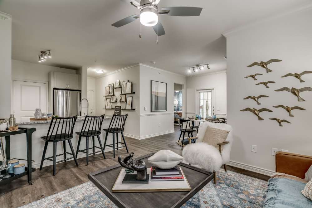 Interior photo 12 at Serene at La Villita in Irving, Texas