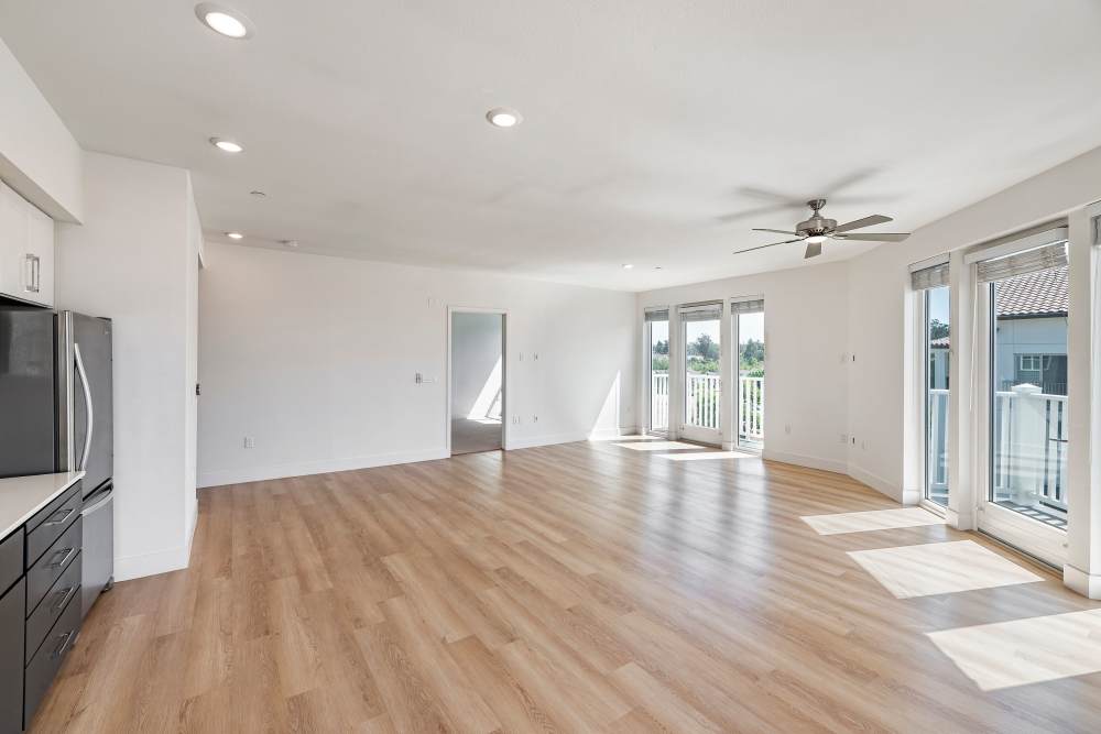 Open living room with tall windows at The Dylan