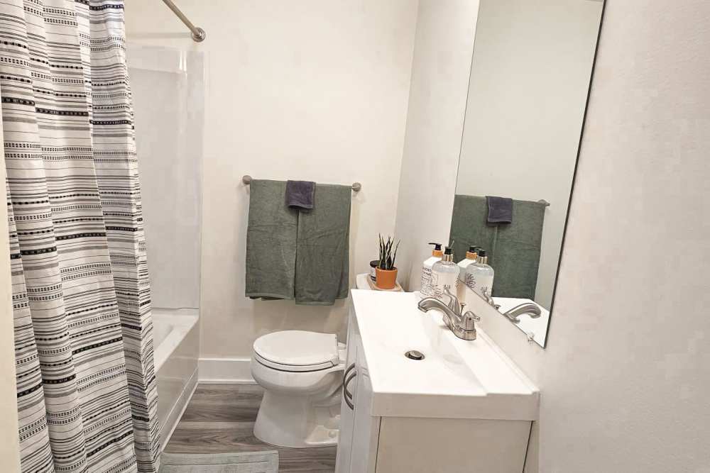 Cozy Bathroom