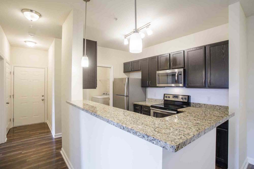 Modern kitchen with dark cabinets, granite countertops, and stainless steel appliances at Commonwealth at 31 in Spring Hill, Tennessee.