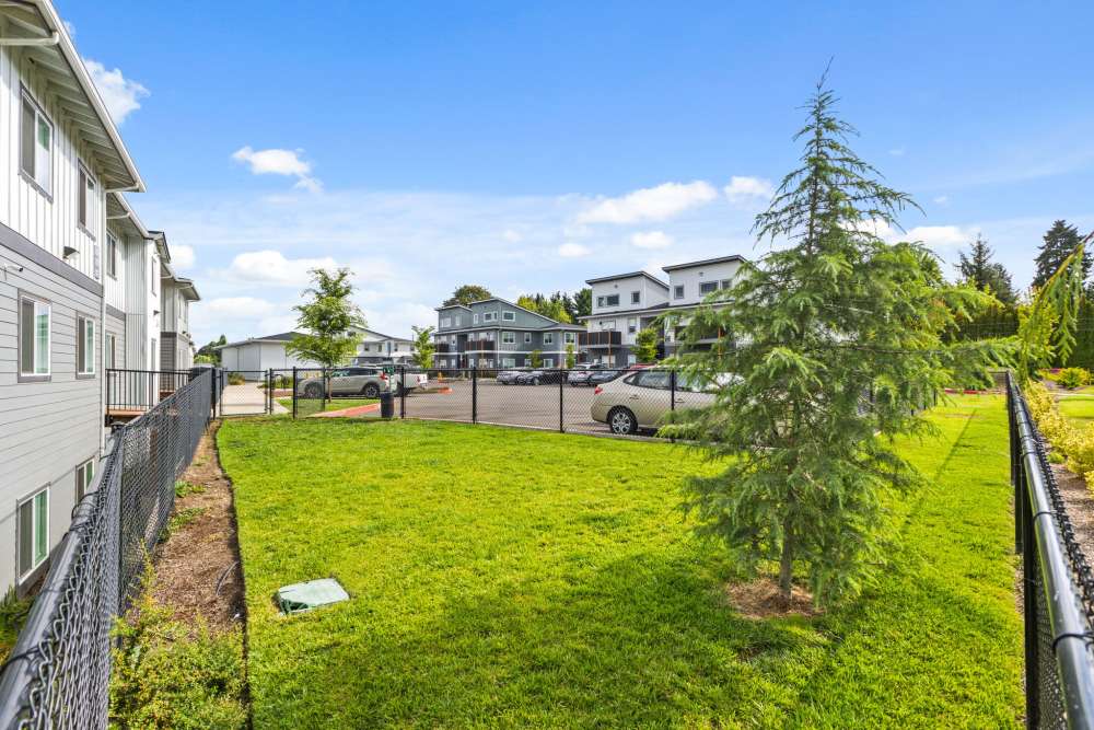 Side LAwn View at Verda Crossing Apartments in Keizer, Oregon