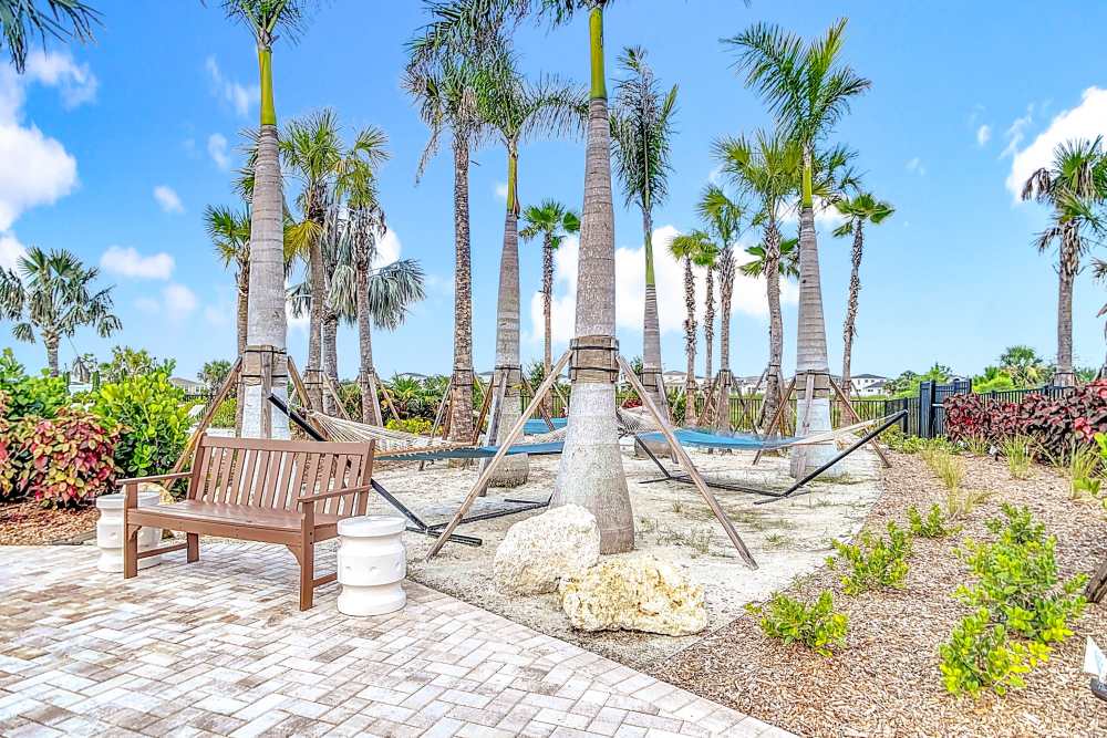 Trees and a chair at BB Living Wellen Park in Venice, Florida