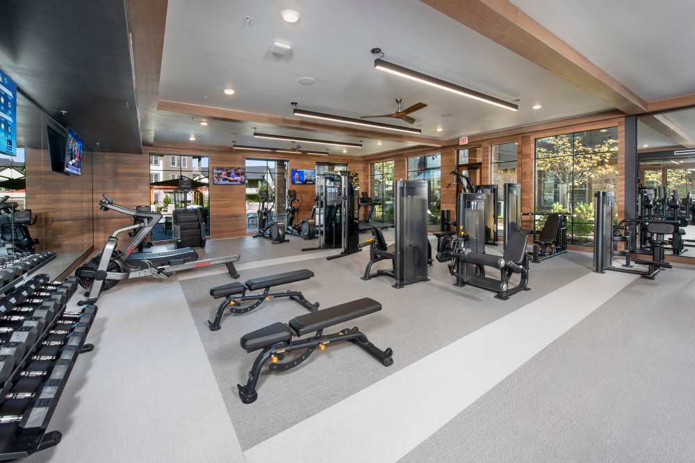 Fitness center with dumbbell rack at Timberline View in Buford, Georgia