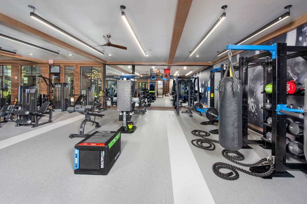 Fitness center with latest gym equipment at Timberline View in Buford, Georgia