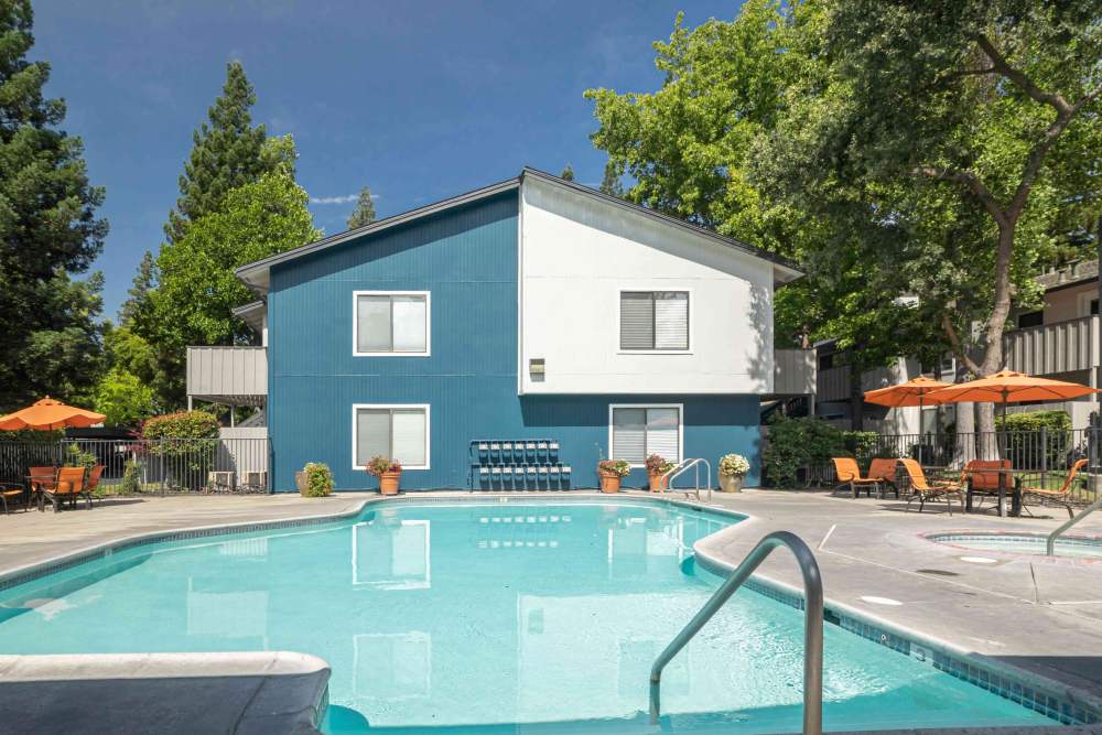 Pool image at Azure apartments 