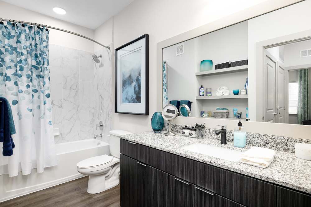 Apartment bathroom at SoBA Apartments in Jacksonville, Florida