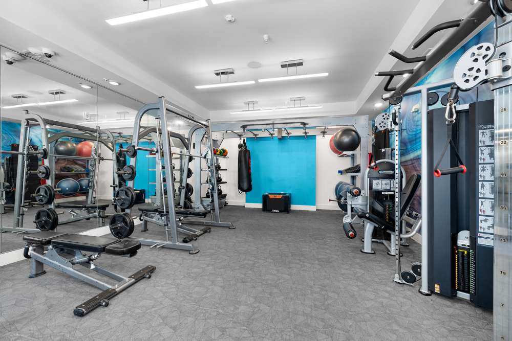 Fitness room with weight bench at SoBA Apartments in Jacksonville, Florida