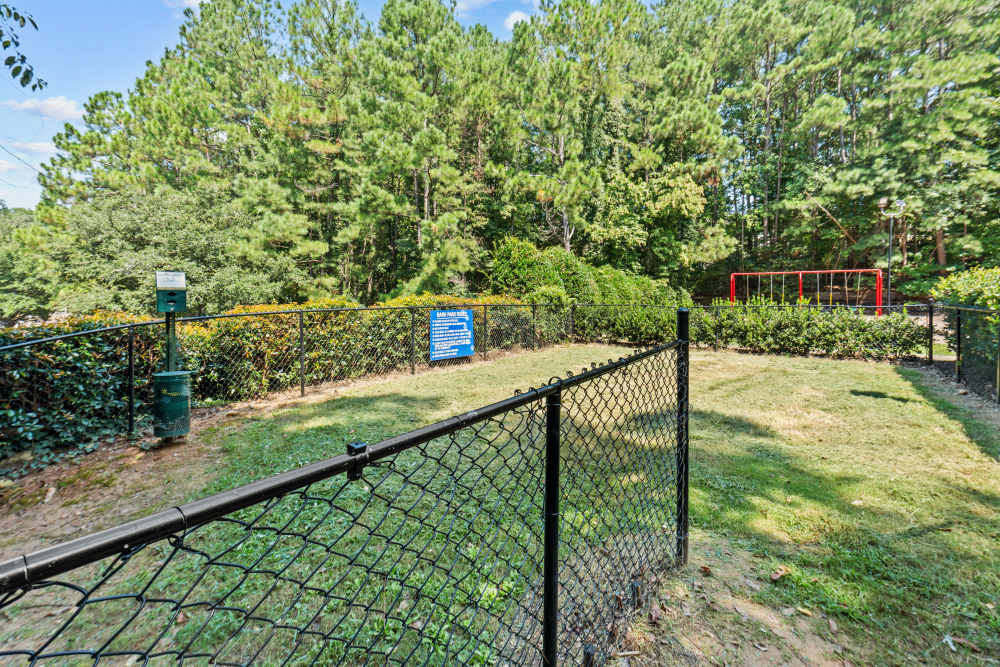Bark Park