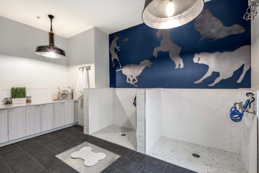 Pet Spa with Wash Stations at SoBA Apartments in Jacksonville, Florida