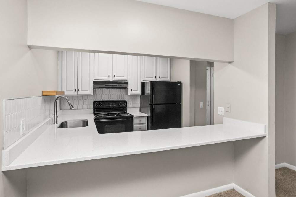 Upgraded 1 Bedroom Apartment