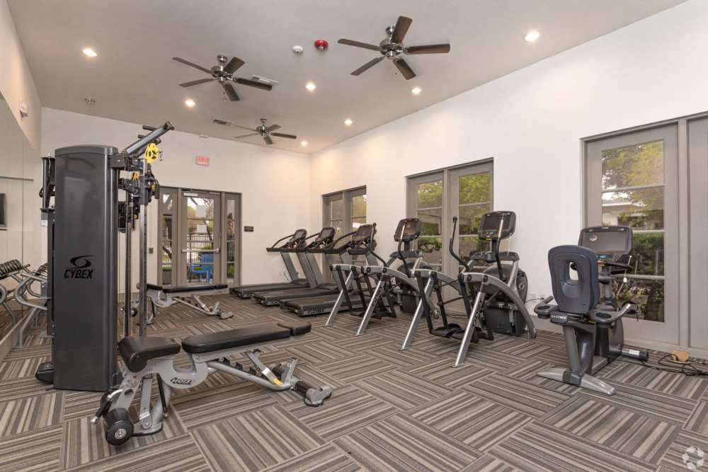 Modern fitness center with sleek machines and ample natural light at Alcove at Alamo Heights in San Antonio, Texas