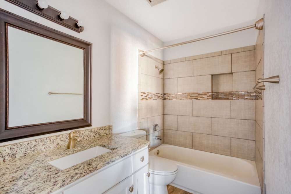 Bright bathroom with shower and tub at Hubbards Ridge in Garland, Texas
