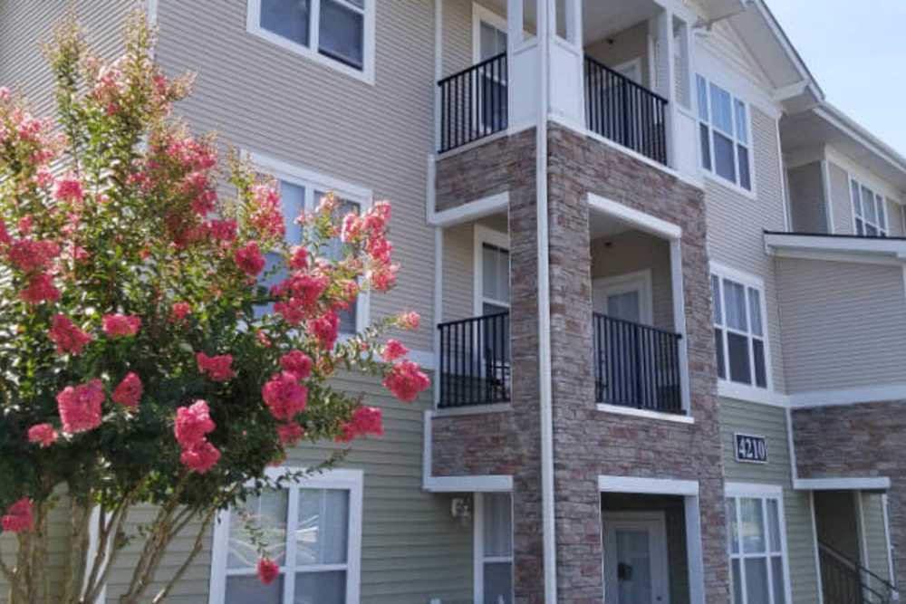Beautiful exterior of the property at Windsor Upon Stonecrest in Burlington,North Carolina