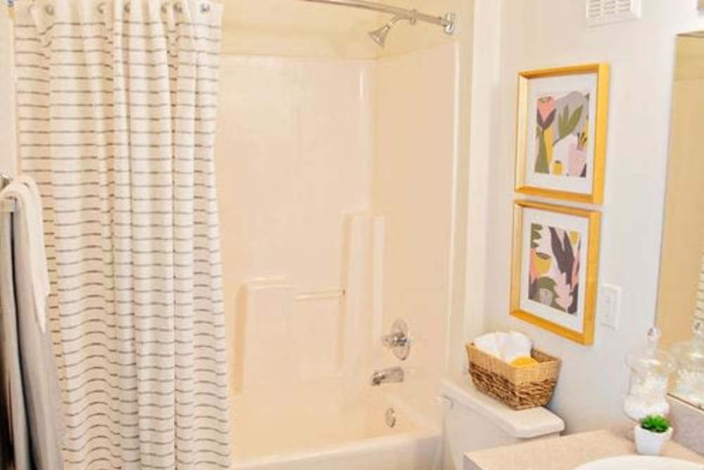 Bright bathroom with shower and tub at Overlook at Stonemill in Lynchburg, Virginia